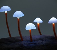 LED蘑菇小花灯