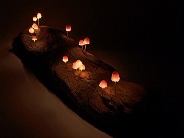 LED蘑菇小花灯
