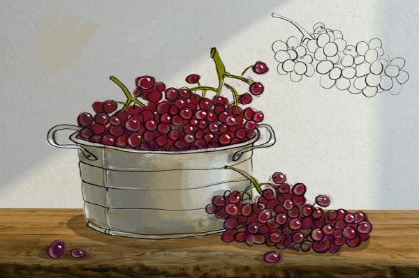 法國BLOOD of GRAPES品牌葡萄酒特色包裝設計