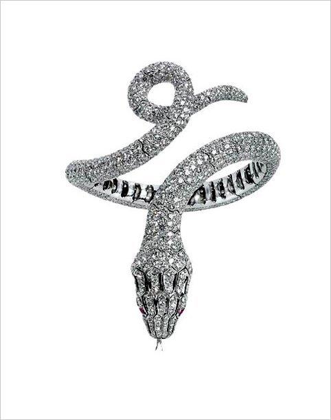 妖娆蛇形珠宝