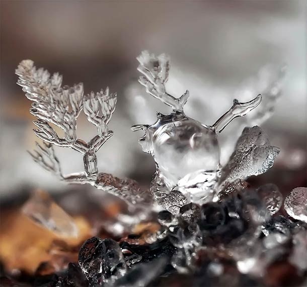 Andrew Osokin微距摄影：精美的雪花