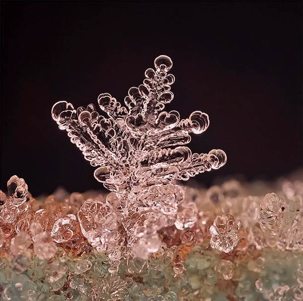 Andrew Osokin微距攝影：精美的雪花