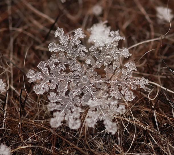 Andrew Osokin微距攝影：精美的雪花