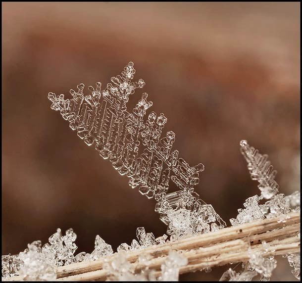 Andrew Osokin微距攝影：精美的雪花