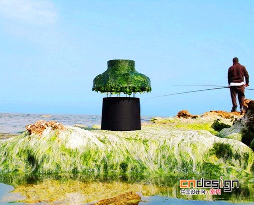創意海藻臺燈