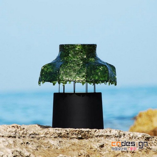 创意海藻台灯
