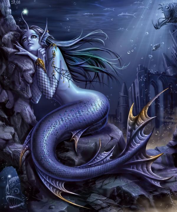 夢幻人魚欣賞