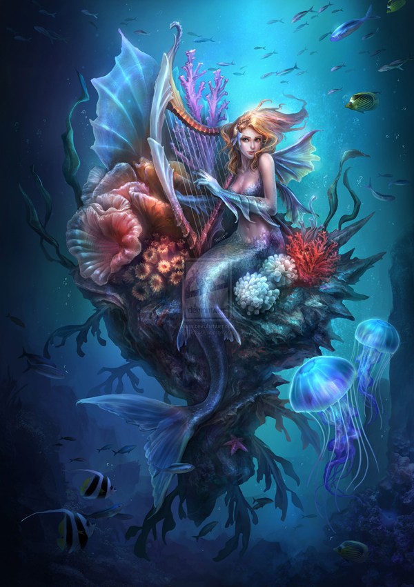 夢幻人魚欣賞