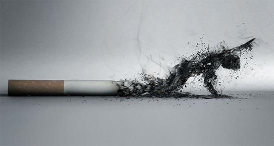 禁烟广告创意精选