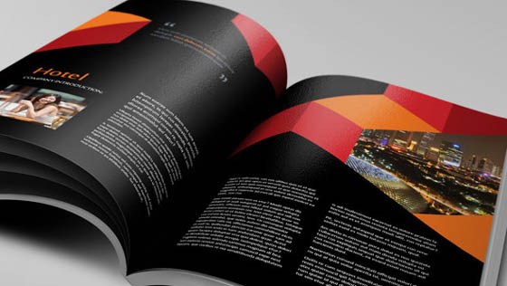 HEXAGON企業宣傳畫冊欣賞