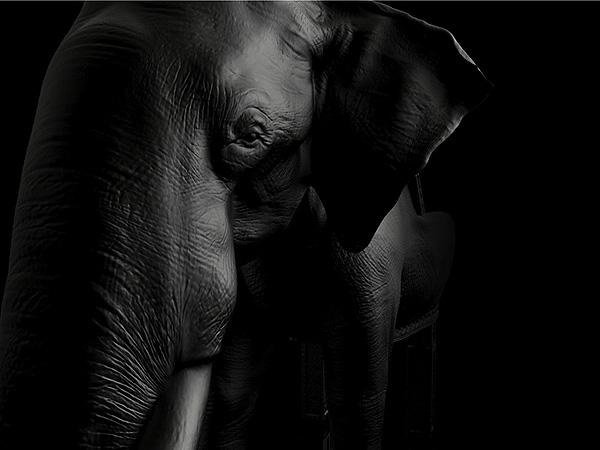 霸氣的動物椅