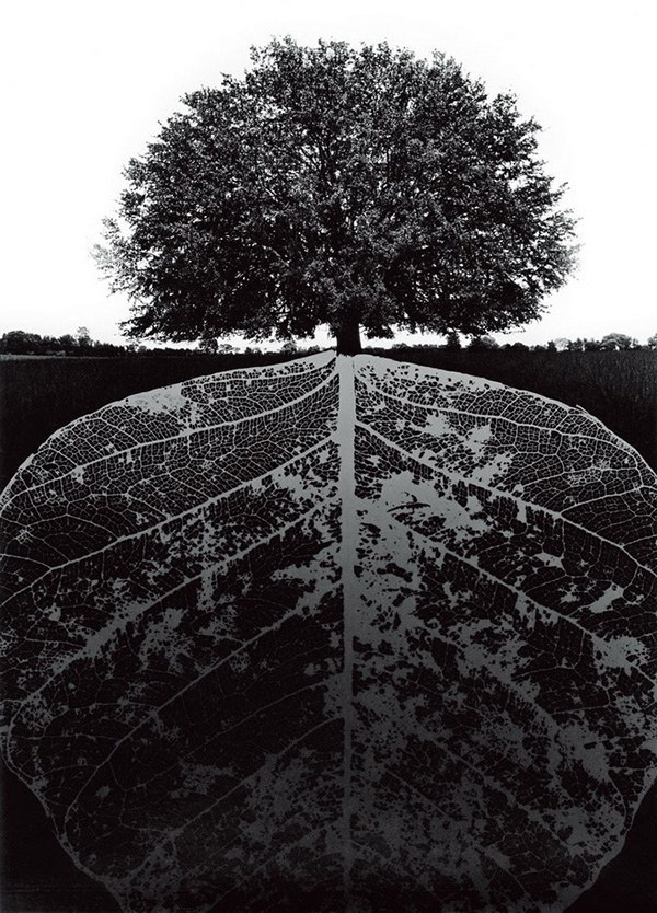 Jerry Uelsmann-超现实黑白摄影作品