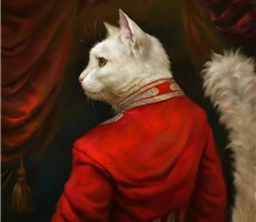 Eldar zakirov穿皇家礼服的猫