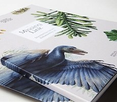 The Missing Link: New Frontier Group年报画册