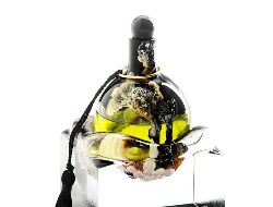 Boda 香水玻璃瓶包装造型设计