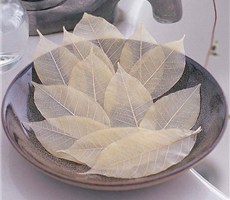 各种奇特造型香皂