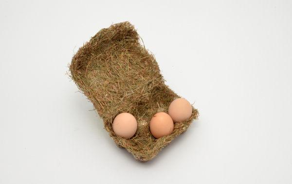 带来农场野趣，快乐鸡蛋的干草包装盒