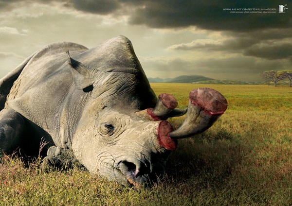 泰国野生动物基金会平面广告