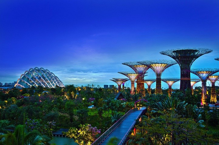 新加坡擎天大树-太阳能供电-中国设计网