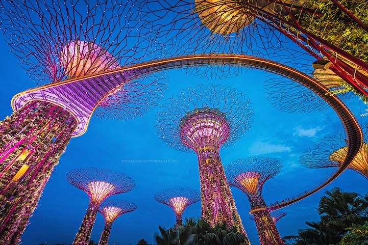 新加坡擎天大树-太阳能供电