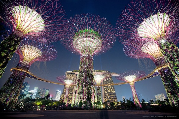 新加坡擎天大树-太阳能供电