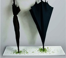 绿色植物的雨伞架