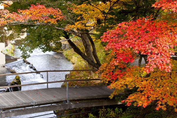 日本山谷里的村落溫泉度假村