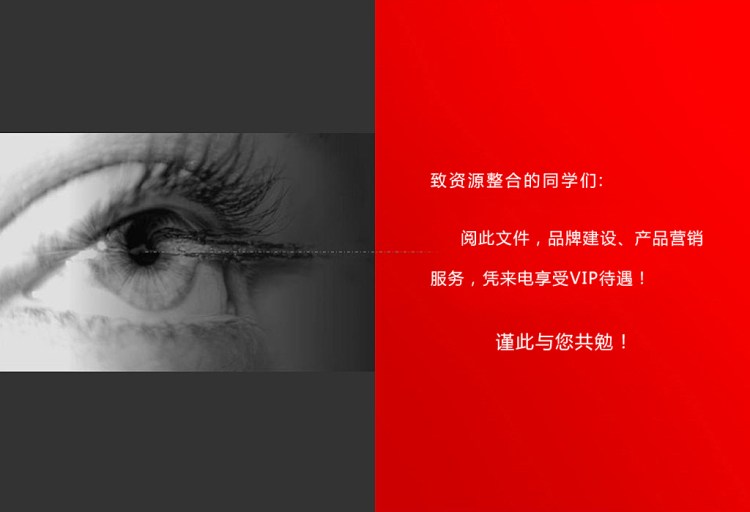 东莞大视野广告有限公司—权威品牌运营机构霸气展示