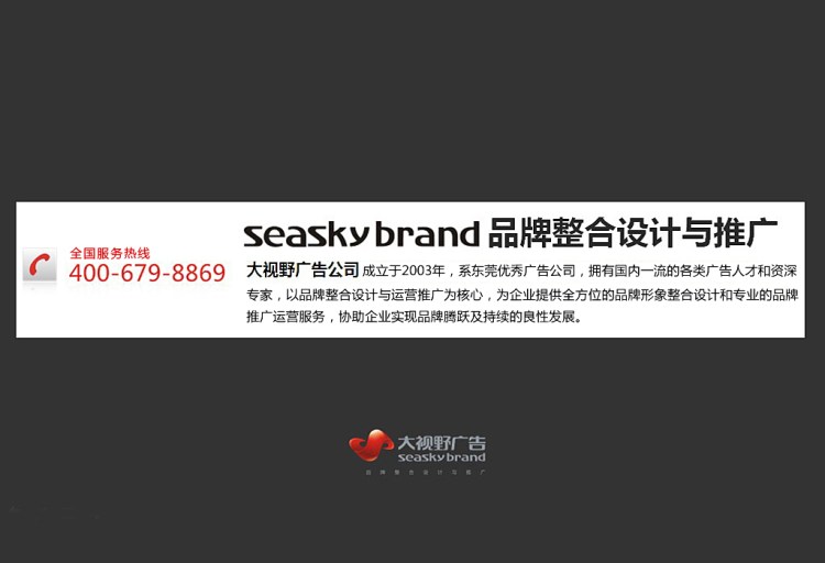东莞大视野广告有限公司—权威品牌运营机构霸气展示