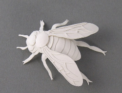 纸雕艺术家一组新的纸雕作品