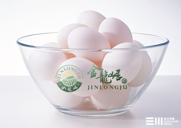 金龙崌食品有限公司－logo设计（平江叁川传媒）