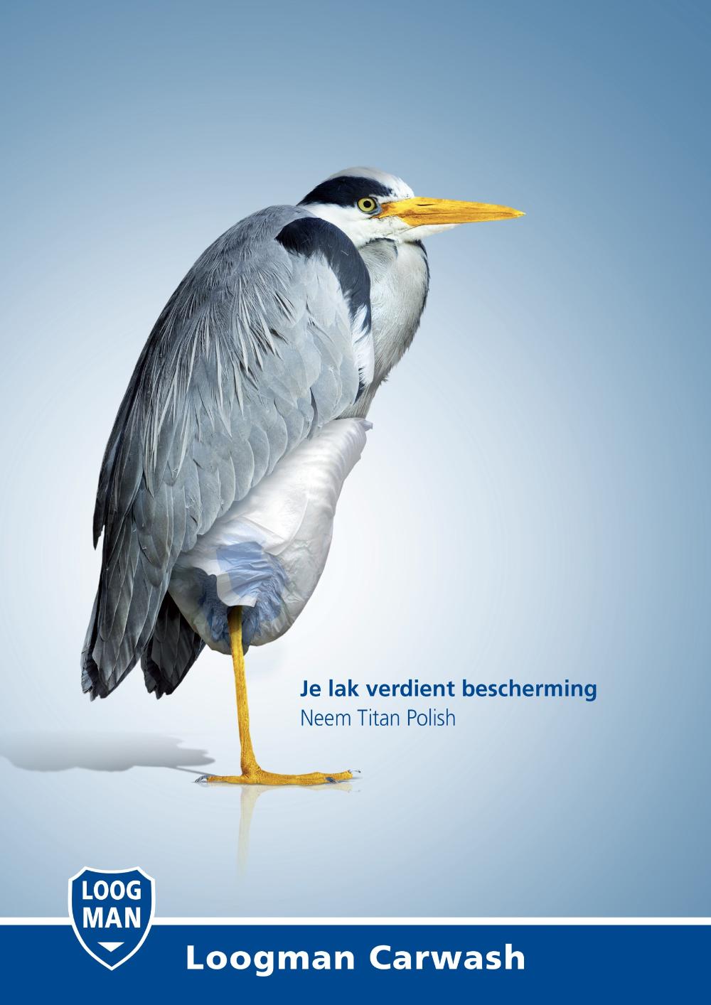 荷兰洗车行平面广告设计