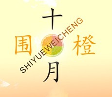 家鄉(xiāng)特色橙子海報(bào)設(shè)計(jì)