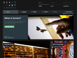 来自国外的深色系网页设计