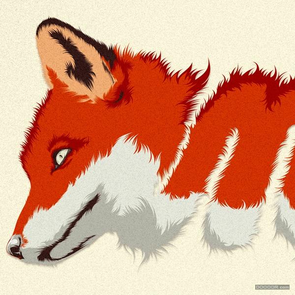 美狐狸字体设计插画