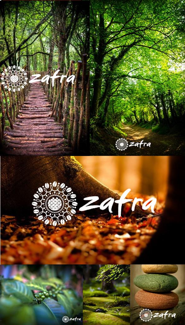 Zafra品牌VI设计