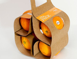 别致的橘子包装