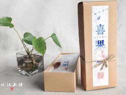 来自家乡的产品包装-高山柿子饼