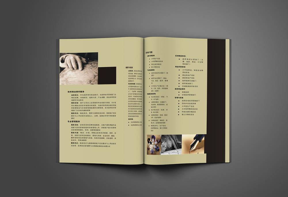 招商迪辰咨詢宣傳冊設(shè)計