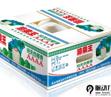 腦動力品牌椰青包裝設(shè)計