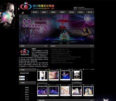 四川西源文化传播有限公司网站设计作品