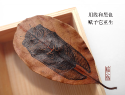 落叶与艺术的结合