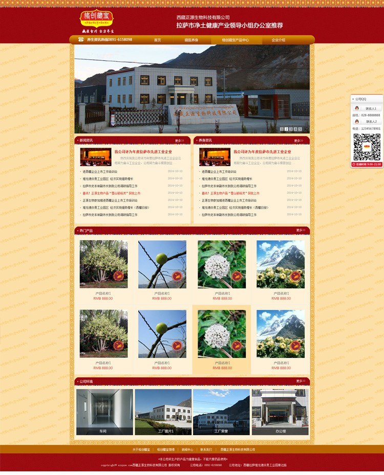 西藏正源格创藏宝网站设计案例