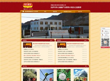 西藏正源格创藏宝网站设计案例