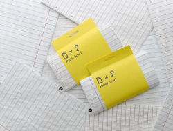 纸围巾（paper scarf）