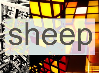 process of 《sheep》（羊）