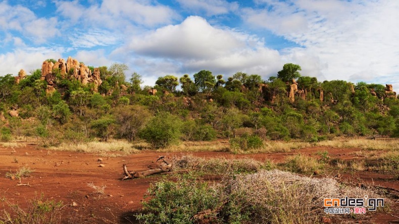 南非克魯格國家公園萊邦博洛奇旅館 Singita Lebombo Lodge