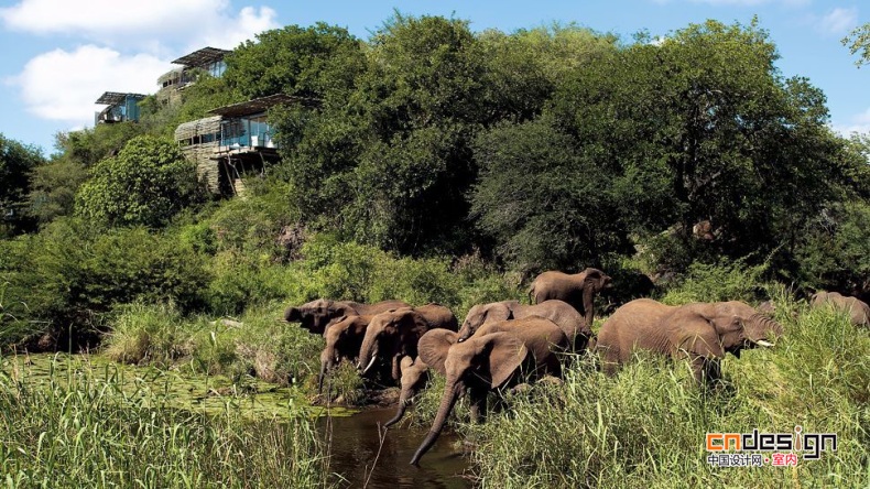 南非克魯格國家公園萊邦博洛奇旅館 Singita Lebombo Lodge