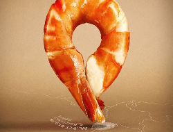 Followfish食品创意海报设计