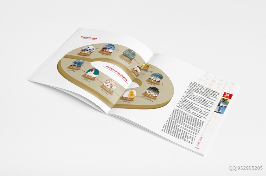 30周年纪念册设计-纪念册设计-企业文化宣传册设计-集团画册设计-食品画册设计-河南大用集团-郑州画册设计